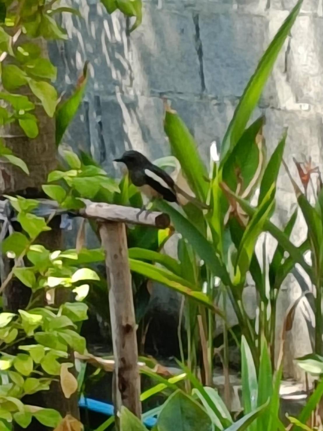 Baan Debtida Hotel Bangkok Bagian luar foto