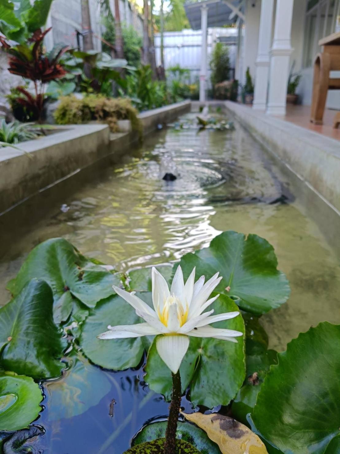 Baan Debtida Hotel Bangkok Bagian luar foto