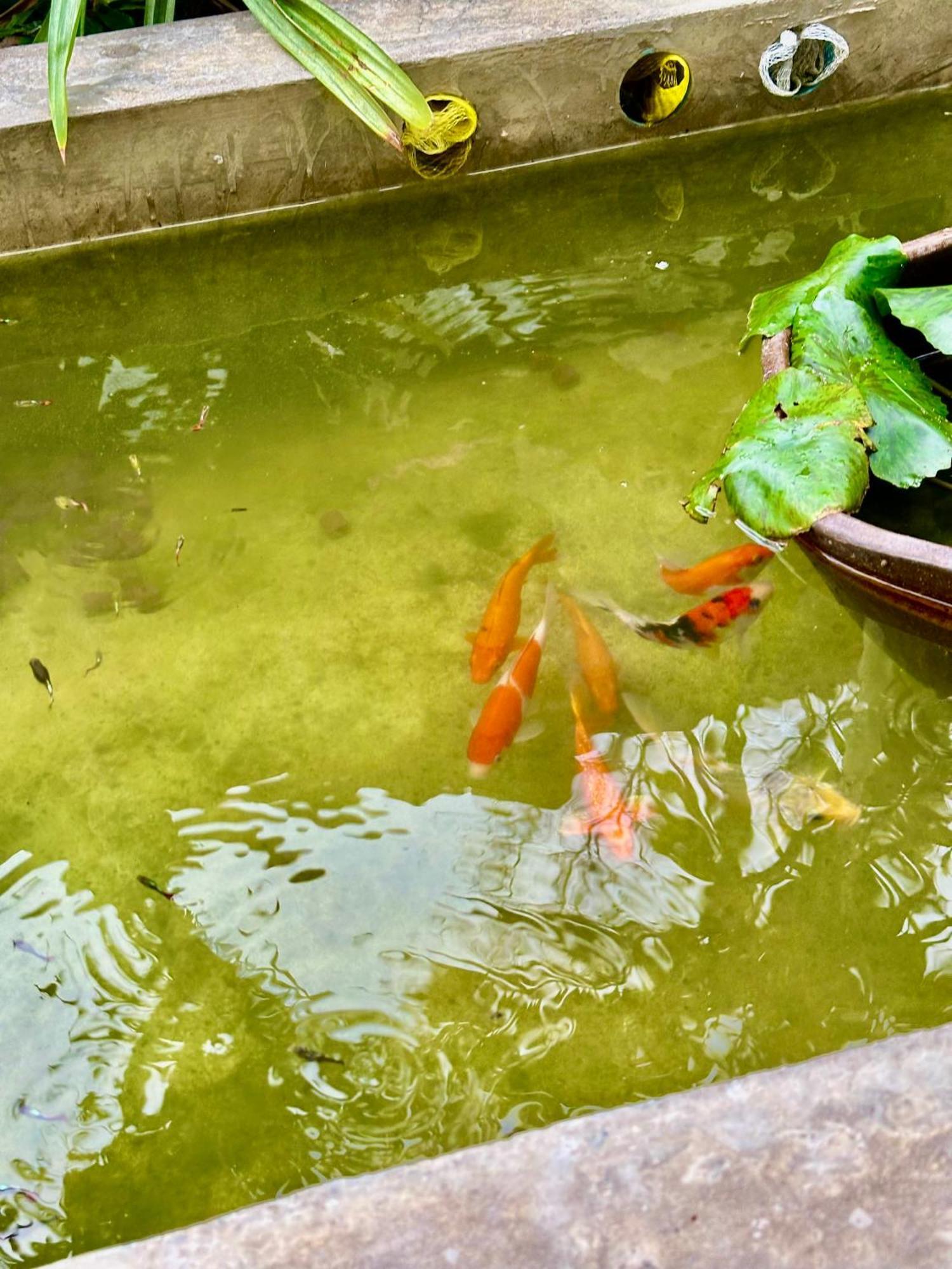Baan Debtida Hotel Bangkok Bagian luar foto